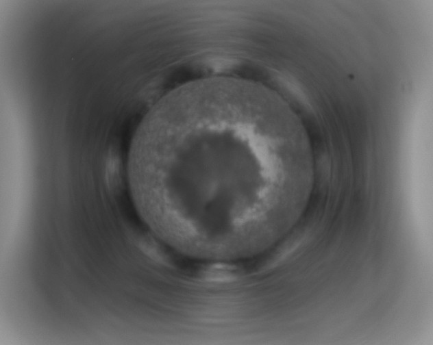 X0000114680222200910211217