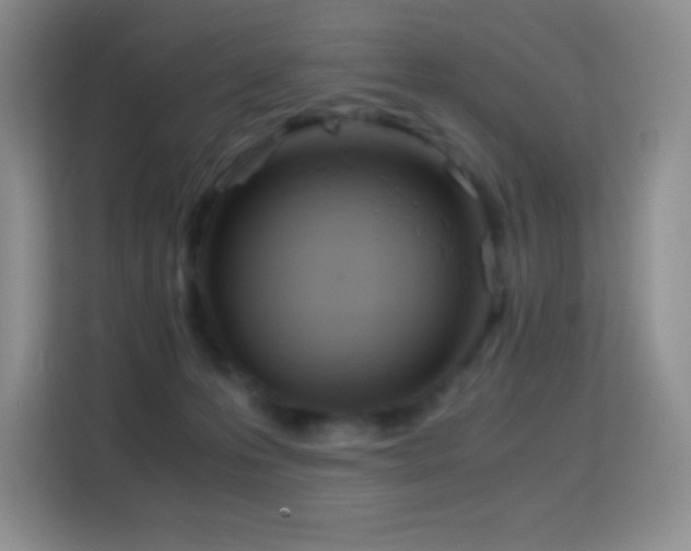 X0000114680223200910211217