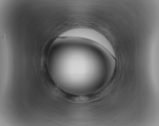 X0000114680225200910211217