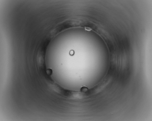 X0000114680226200910211216