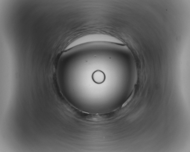 X0000114680229200910211216