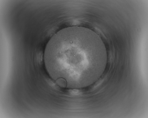 X0000114680230200910211216