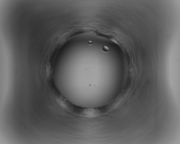 X0000114680231200910211216