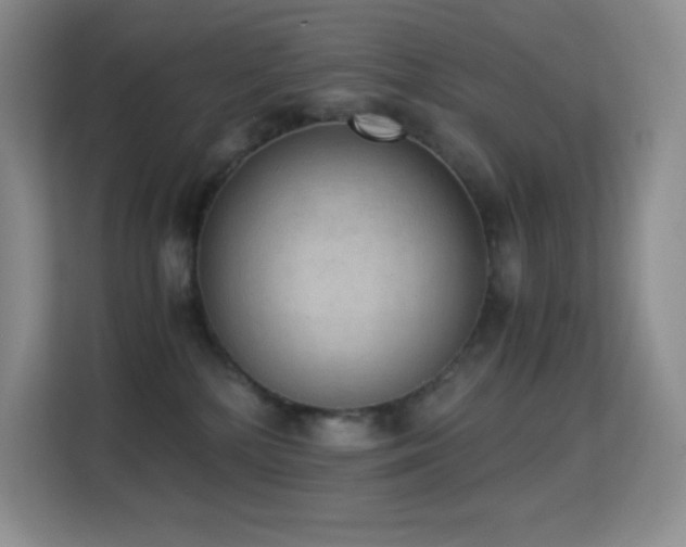 X0000114680232200910211216