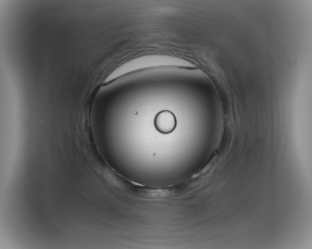 X0000114680233200910211216