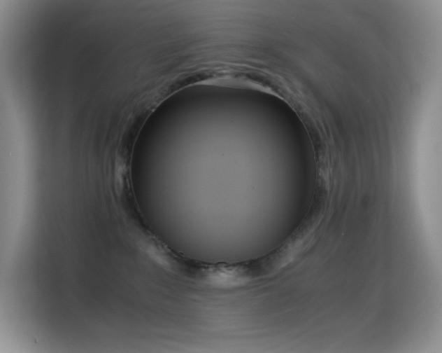 X0000114680235200910211216
