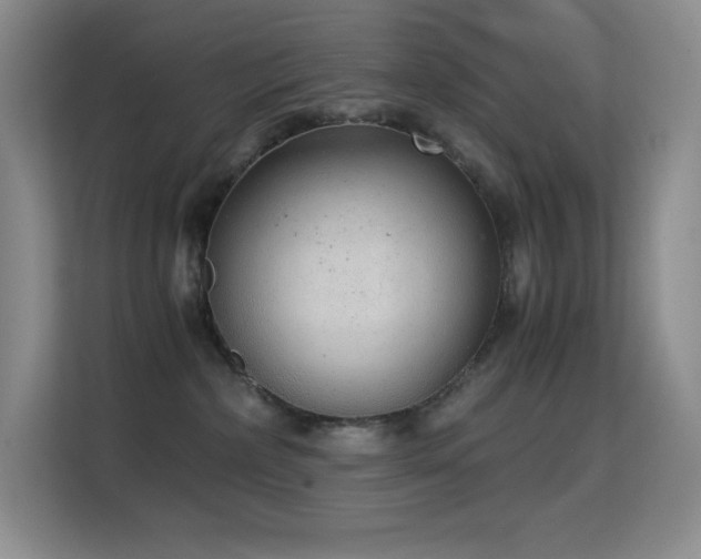 X0000114680236200910211216