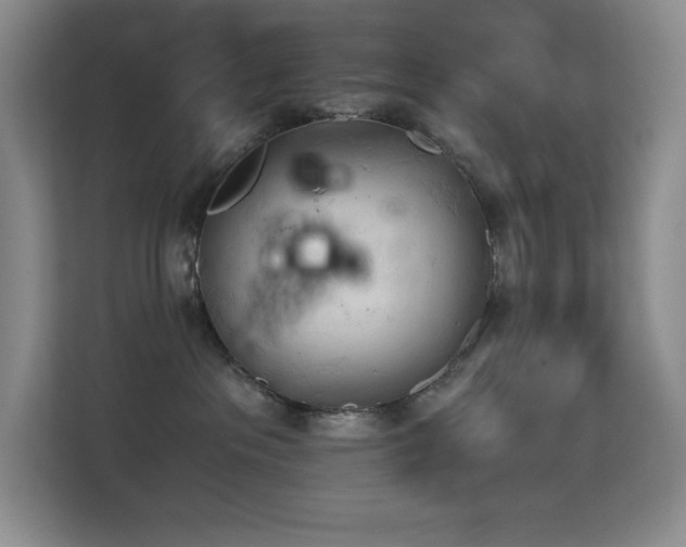 X0000114680237200910211216