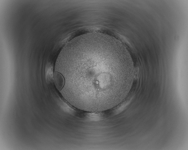 X0000114680238200910211216