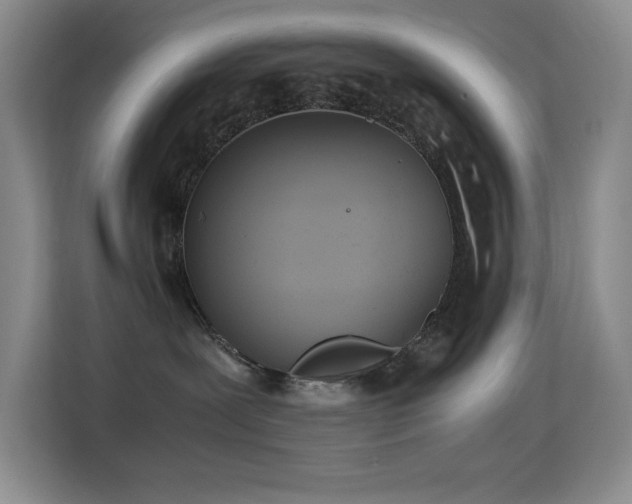 X0000114680239200910211216
