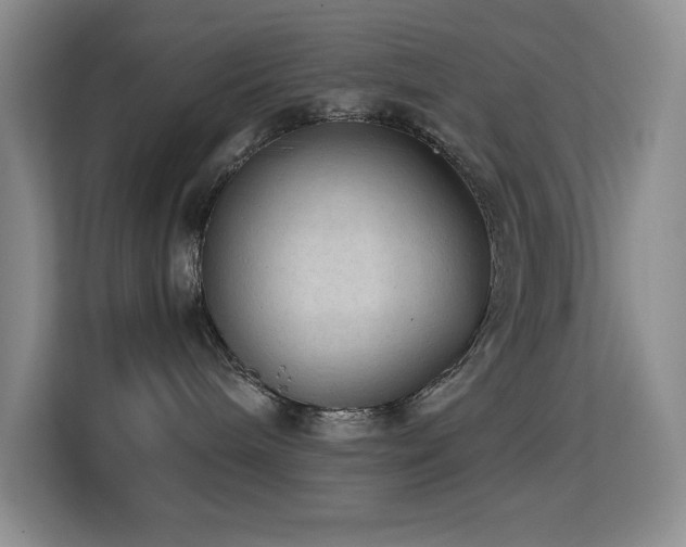 X0000114680240200910211216