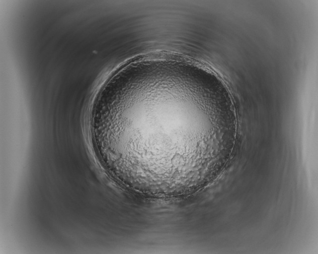 X0000114680241200910211216