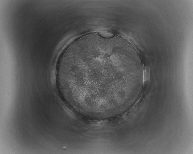 X0000114680243200910211216