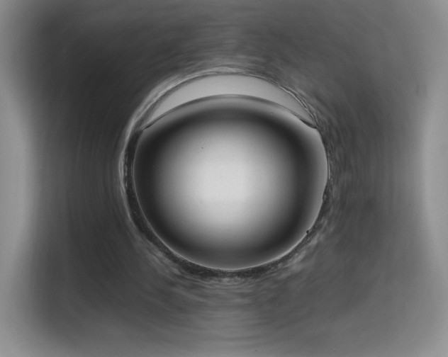 X0000114680244200910211216