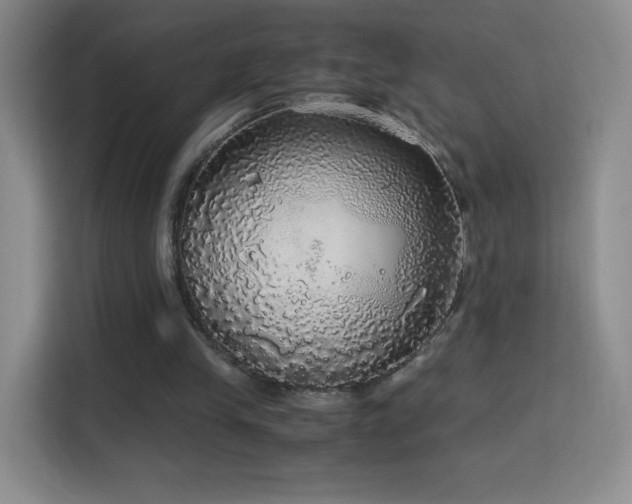 X0000114680245200910211216