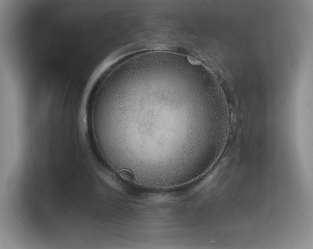 X0000114680246200910211216