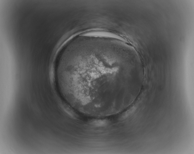 X0000114680247200910211216