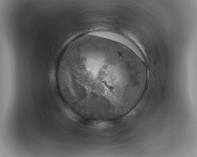 X0000114680249200910211216