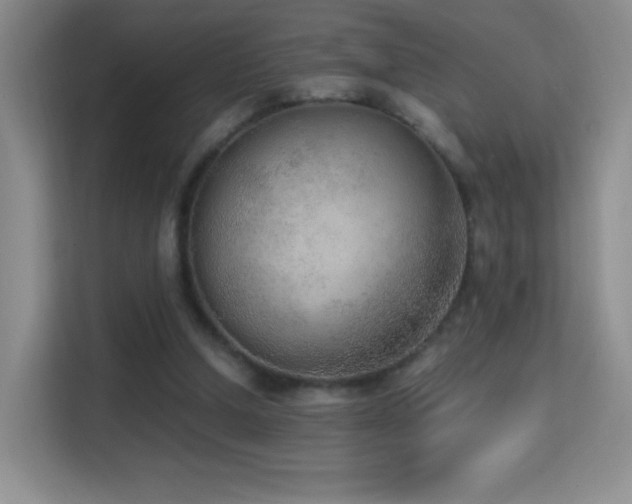 X0000114680250200910211216