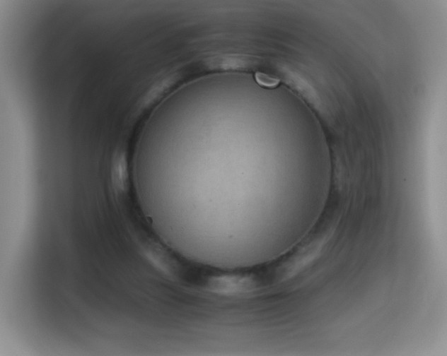 X0000114680251200910211216