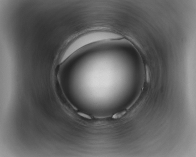 X0000114680252200910211216