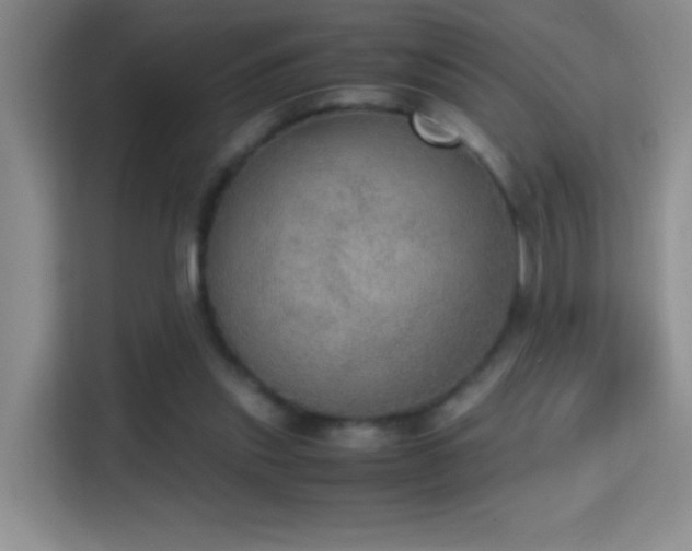X0000114680253200910211216