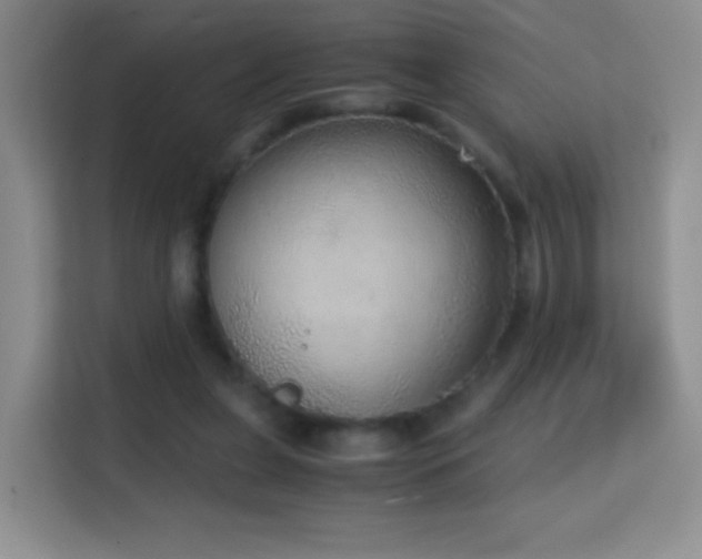 X0000114680255200910211216