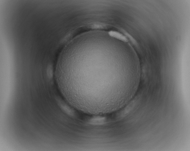 X0000114680257200910211216