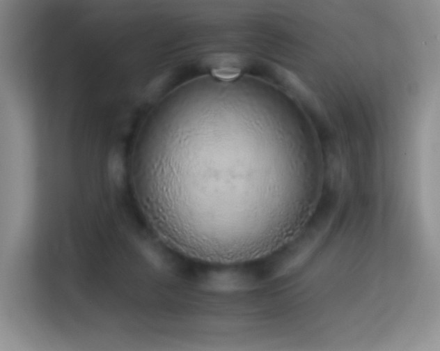 X0000114680259200910211216