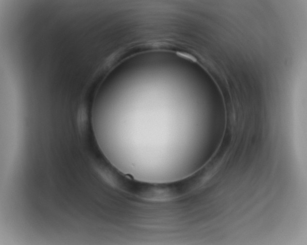X0000114680260200910211216