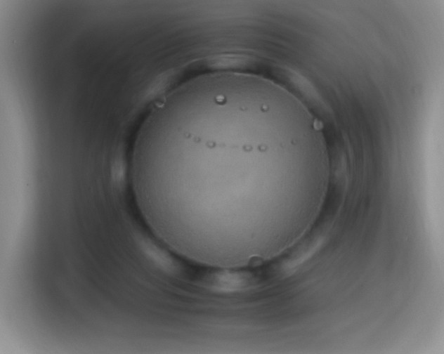 X0000114680261200910211216