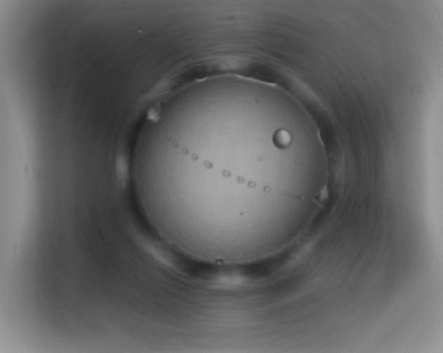 X0000114680262200910211216