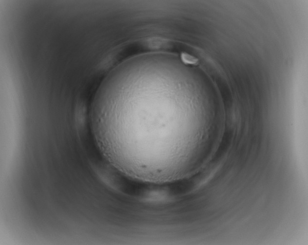 X0000114680263200910211216