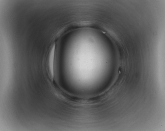 X0000114680264200910211216