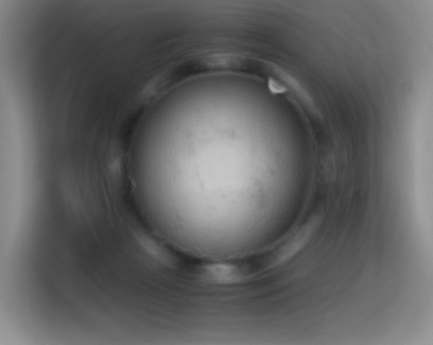 X0000114680265200910211216