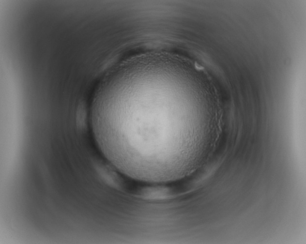 X0000114680266200910211216