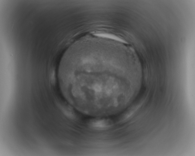 X0000114680267200910211216