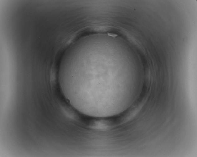 X0000114680268200910211216