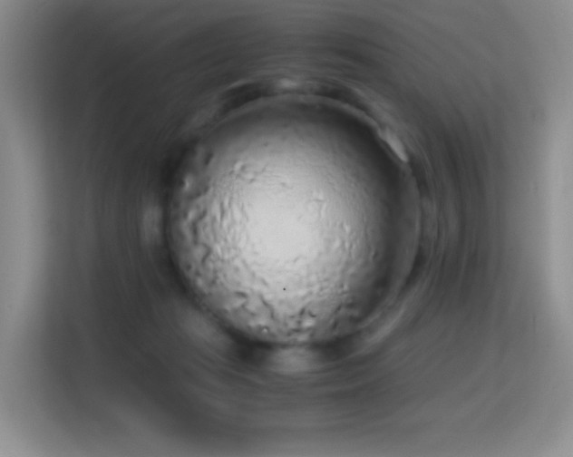 X0000114680269200910211216