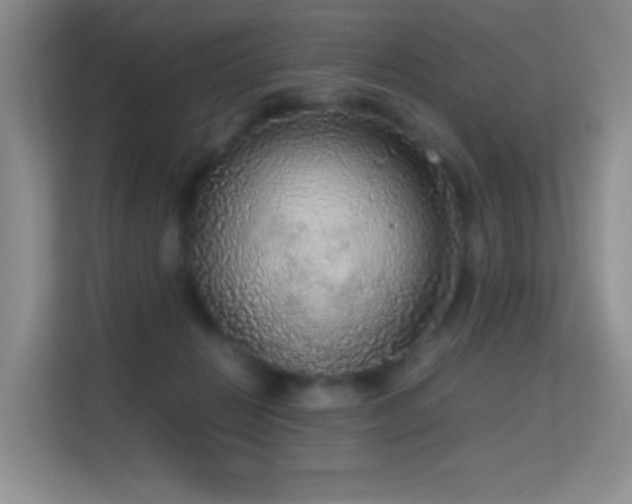 X0000114680270200910211216