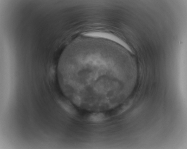 X0000114680271200910211216