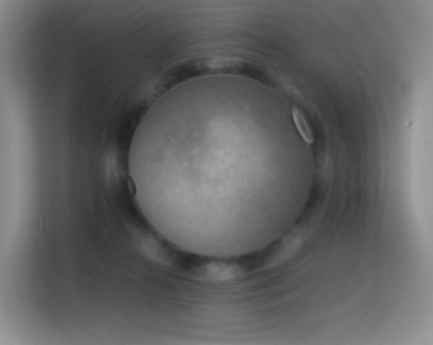 X0000114680272200910211216