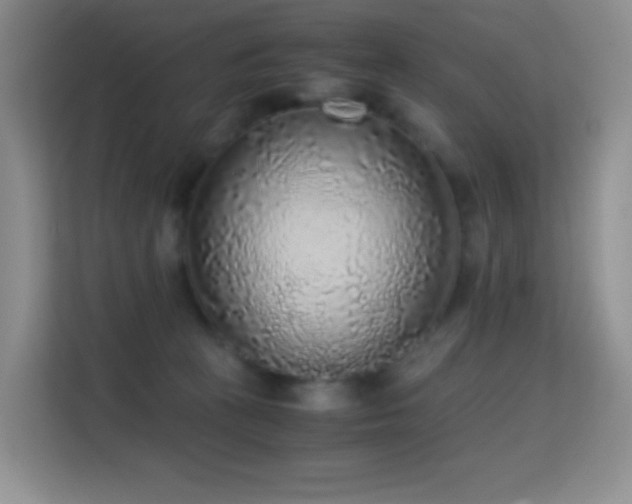 X0000114680273200910211216
