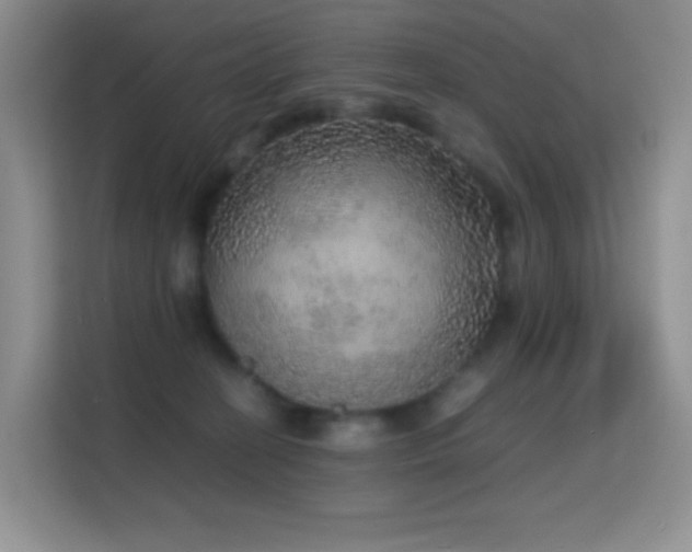 X0000114680274200910211216