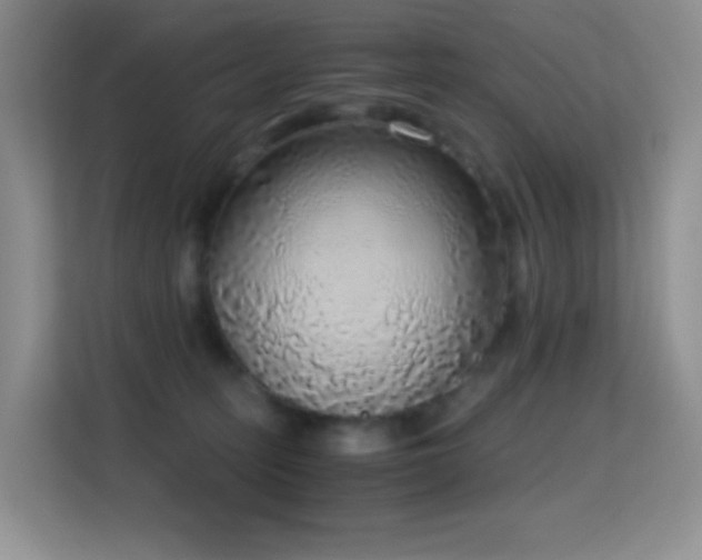 X0000114680275200910211216