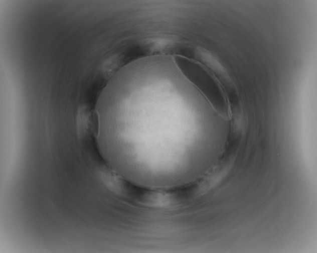 X0000114680276200910211216