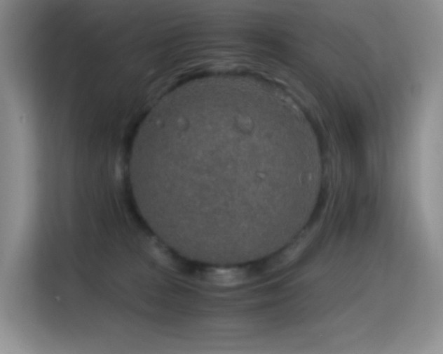 X0000114680277200910211216