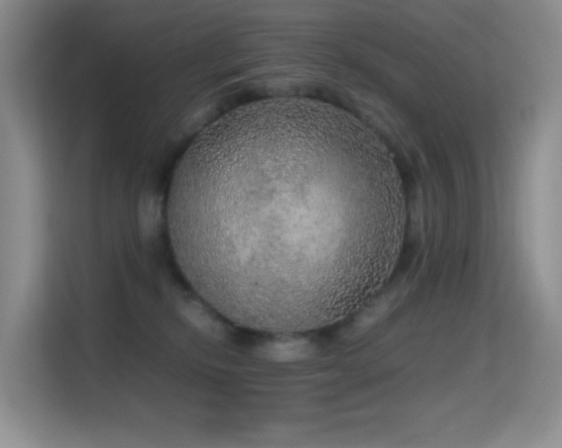 X0000114680278200910211216