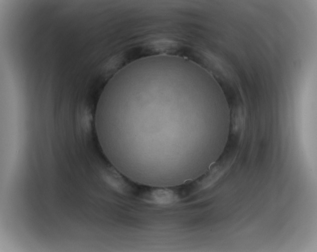 X0000114680279200910211216