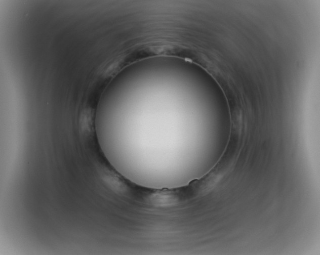X0000114680280200910211216